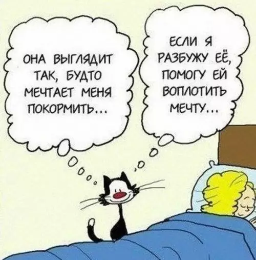 Смешная картинка №182359 коты