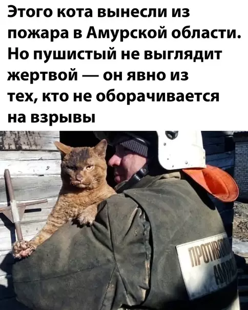 Смешная картинка №567923