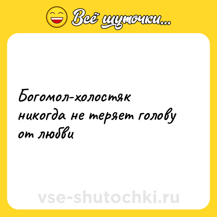 Шутка: Богомол-холостяк никогда не теряет голову от любви