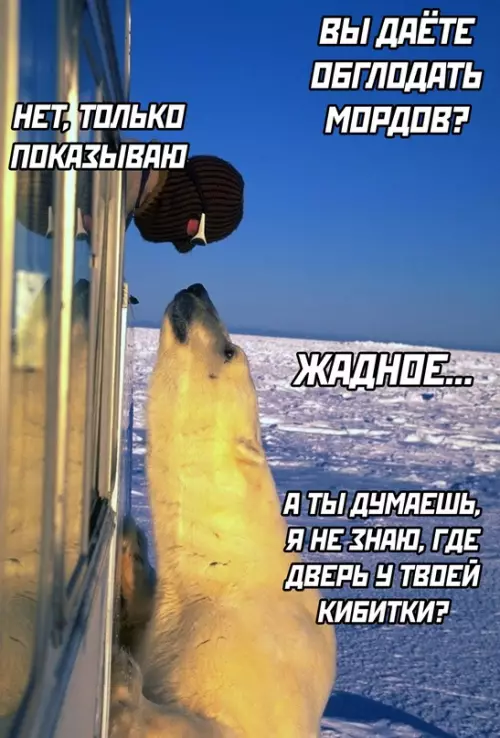 Смешная картинка №631206