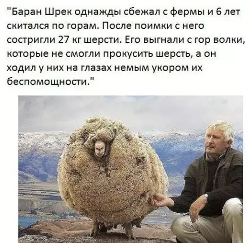Смешная картинка №213334