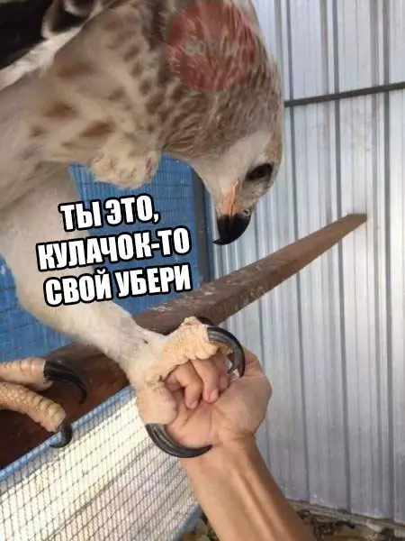 Смешная картинка №253919