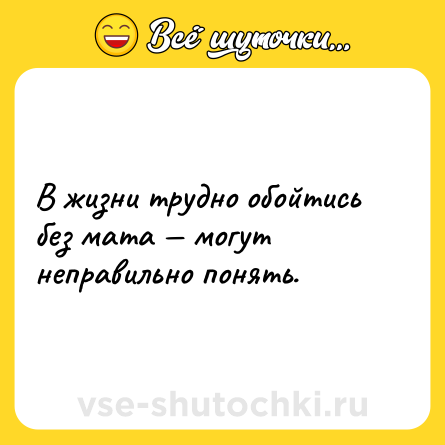 Шутка: В жизни трудно обойтись без мата — могут неправильно понять.