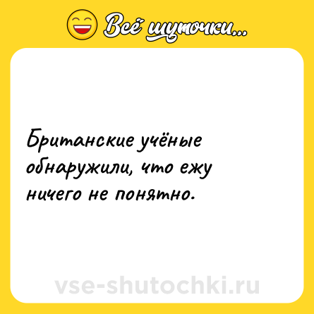 Шутка: Британские учёные обнаружили, что ежу ничего не понятно.