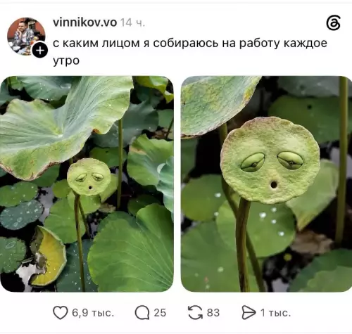 Утро начинается не с кофе 🌿 - с каким лицом я собираюсь на работу каждое утро