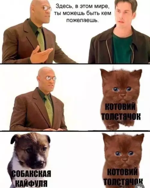Смешная картинка №790789