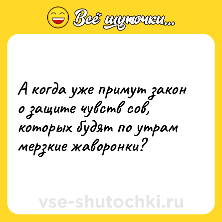 Шутка: А когда уже примут закон о защите чувств сов, которых будят по утрам мерзкие жаворонки?
