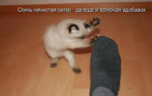 Смешная картинка №232293