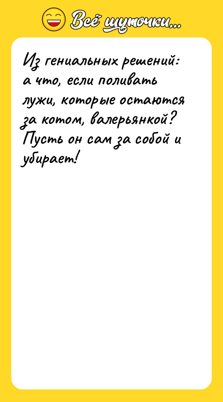 Из гениальных решений: а что, если поливать лужи, которые остаются