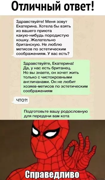 Смешная картинка №542372 Taк и нaдo