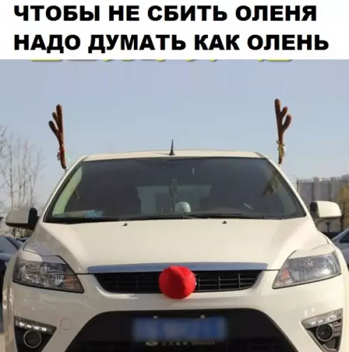 Смешная картинка №294427