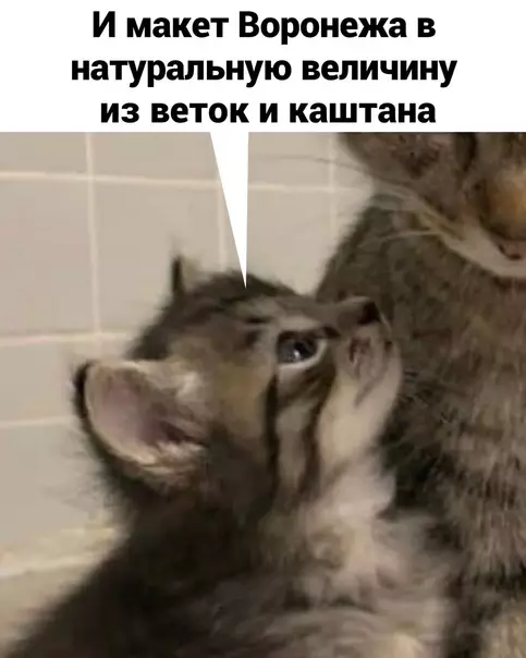 продолжение Смешная картинка №567521