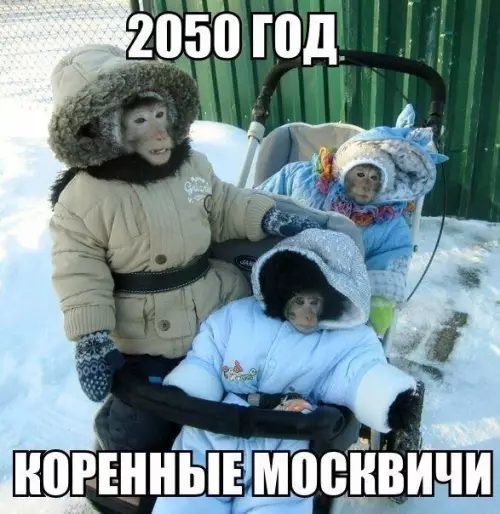 Смешная картинка №424425
