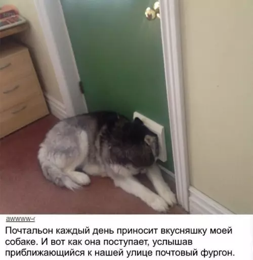 Смешная картинка №215615