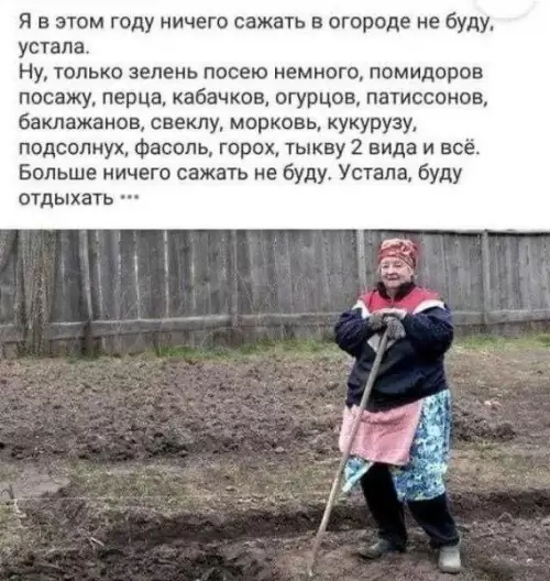 Женщина в огороде - Я в этом году ничего сажать в огороде не буду,