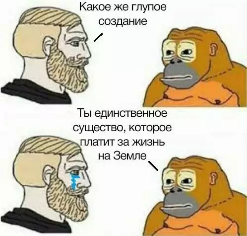 Смешная картинка №706172