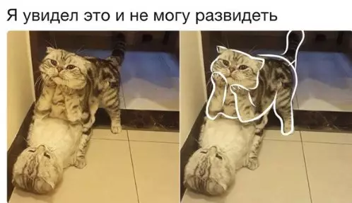 Смешная картинка №245094