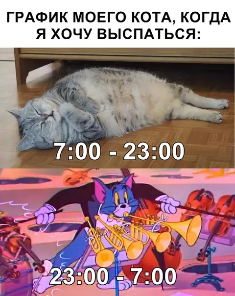 Смешная картинка №351994
