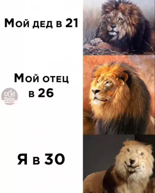 Смешная картинка №647714