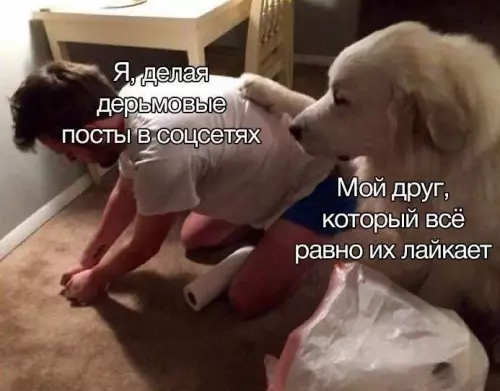 Смешная картинка №793822