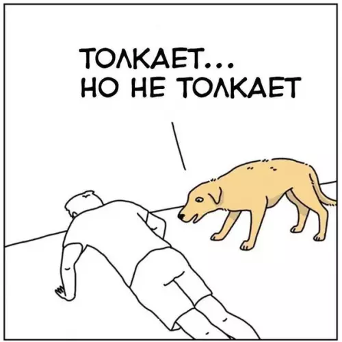 продолжение Смешная картинка №572497
