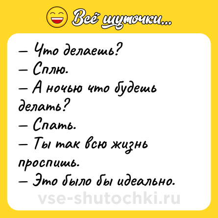 Шутка: — Что делаешь?<br>— Сплю.<br>— А ночью что будешь делать?<br>— Спать.<br>— Ты так всю жизнь проспишь.<br>— Это было бы идеально.