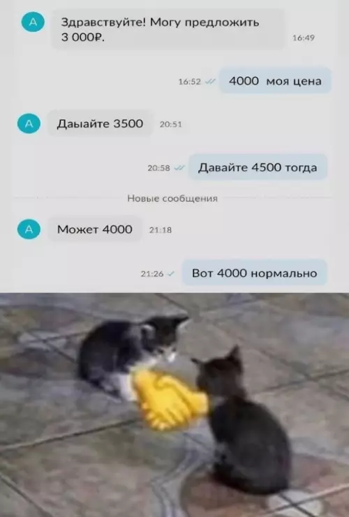 Торг уместен! 🤝🐱 - Здравствуй! Могу предложить 3 000Р. 4000 моя цена Давайте 3500