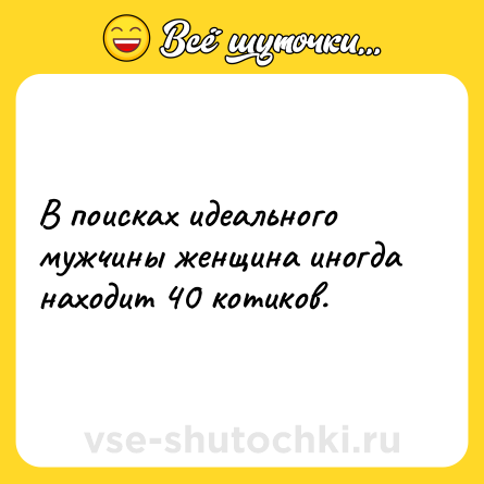 Шутка: В поисках идеального мужчины женщина иногда находит 40 котиков.