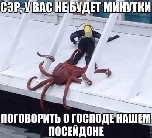 Смешная картинка №223489