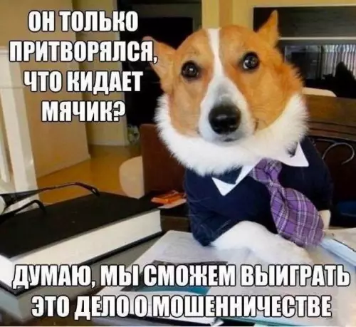 Смешная картинка №691915 собаки