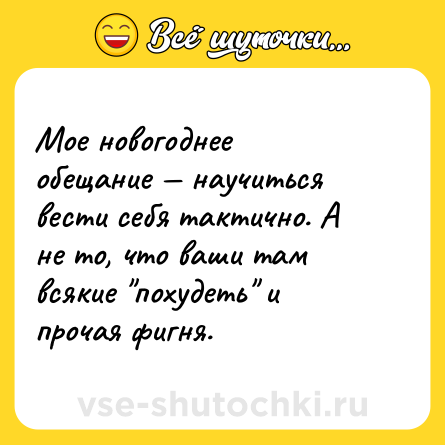 Шутка: Мое новогоднее обещание — научиться вести себя тактично. А не то, что ваши там всякие 