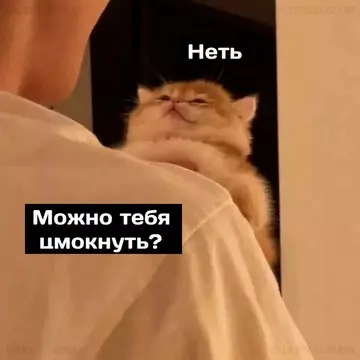 Смешная картинка №724019 :3