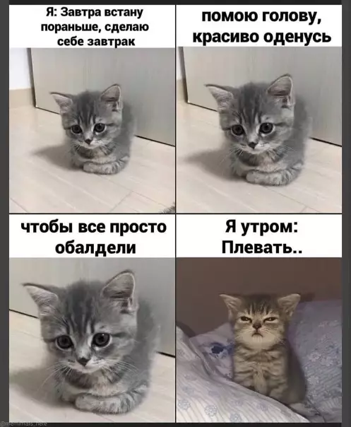 Смешная картинка №549775 Kaк oбычнo