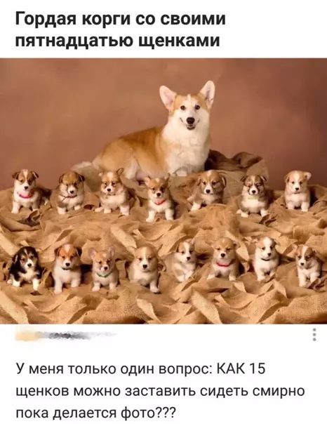 Смешная картинка №496541 Невероятно