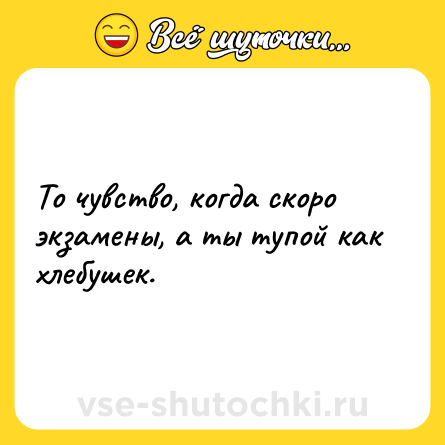 Шутка: То чувство, когда скоро экзамены, а ты тупой как хлебушек.