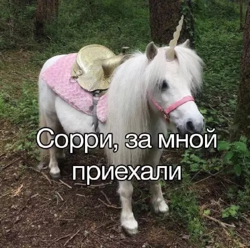 Смешная картинка №759256