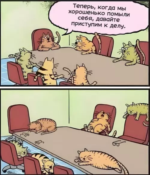 Смешная картинка №804920