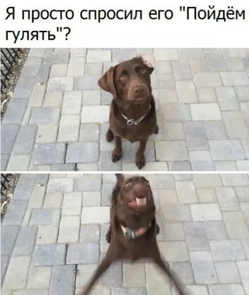 Смешная картинка №259226