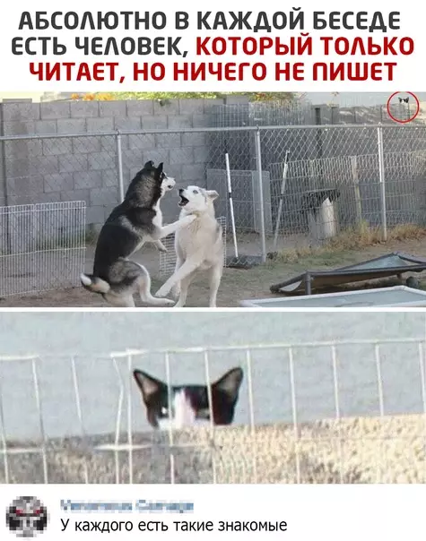 Смешная картинка №551872