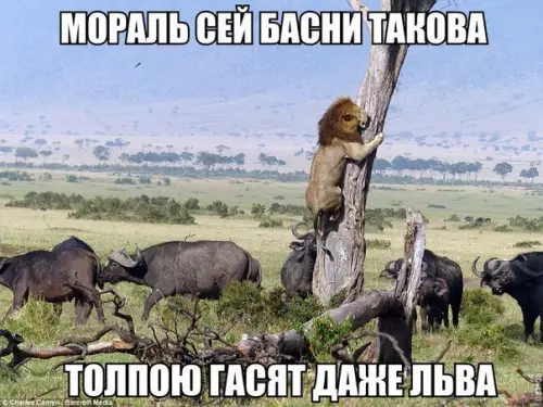 Смешная картинка №221478