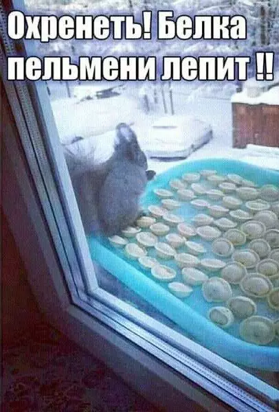 Смешная картинка №678291