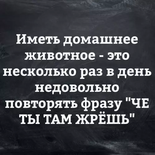 Смешная картинка №273408