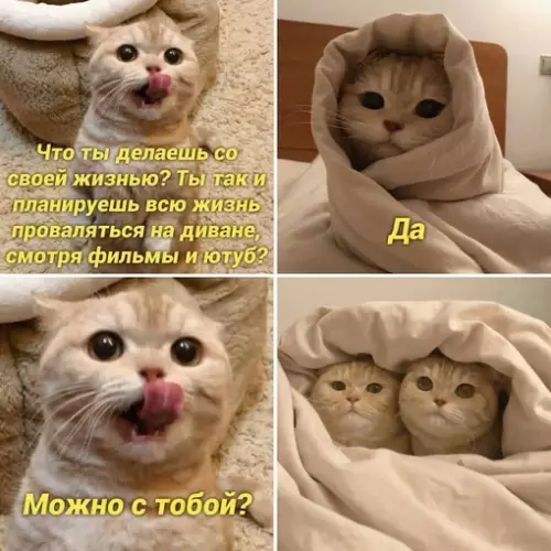 Смешная картинка №710250