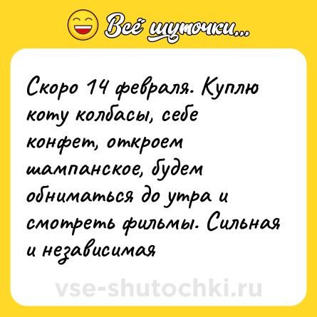 Шутка: Скоро 14 февраля. Куплю коту колбасы, себе конфет, откроем шампанское, будем обниматься до утра и смотреть фильмы. Сильная и независимая