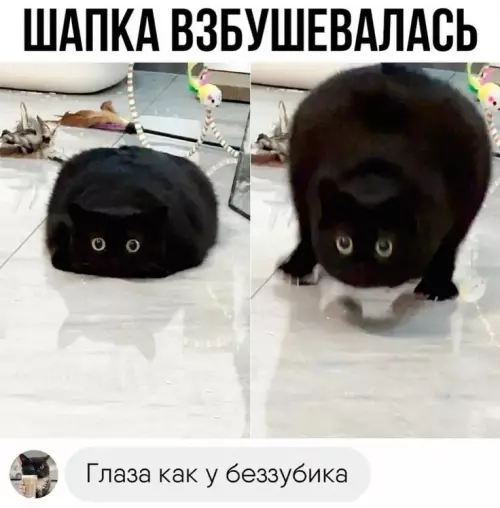 Смешная картинка №794813