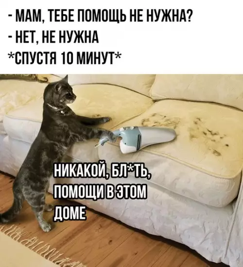 Смешная картинка №340044 Жизненно