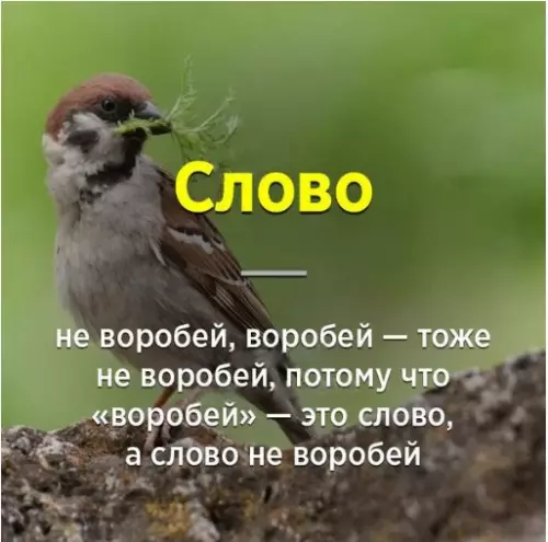 Смешная картинка №274322