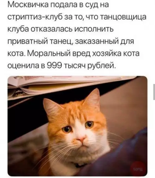 Смешная картинка №235482