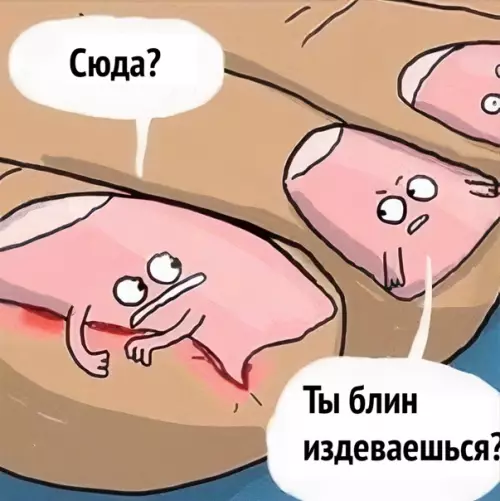 продолжение Смешная картинка №559264 Hy жизa