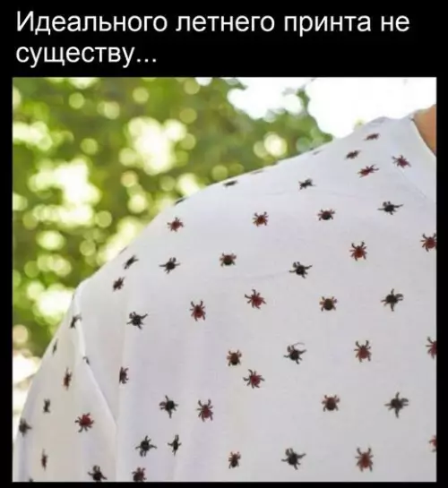 Тот самый идеальный принт для лета 🦟 - Идеального летнего принта не существу...